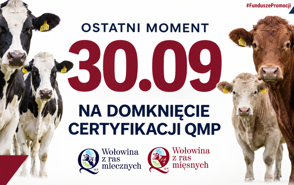 Certyfikat QMP dla hodowców opasów i mamek – termin do 30 września 2026 r.